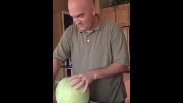 Harvesting Desert King Watermelons смотреть онлайн