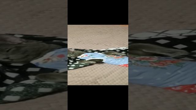 МАНЯ ПОСЛЕ ОПЕРАЦИИ 17.03.2023..mp4