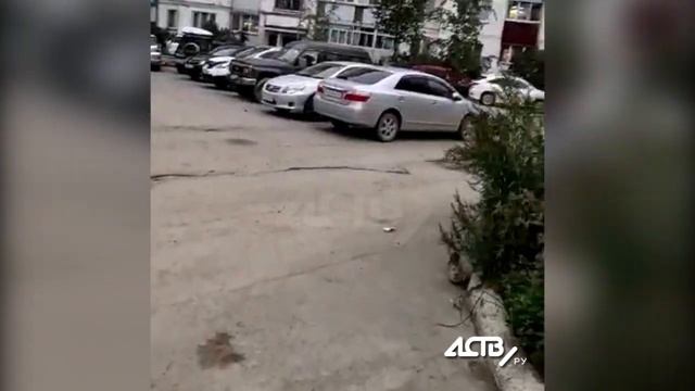 В южно-сахалинском дворе обнаглевшие крысы залезают в машины и грызут проводку и сиденья смотреть онлайн
