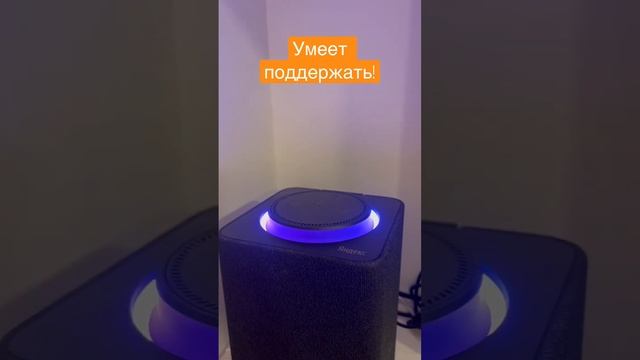 Алиса умеет поддержать! #приколы #алиса #яндекс смотреть онлайн