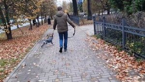 Обучение щенка подзыву