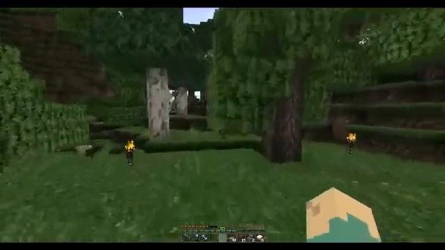 50th Episode! || Better Than Wolves 4.A2 || Ep 50 смотреть онлайн