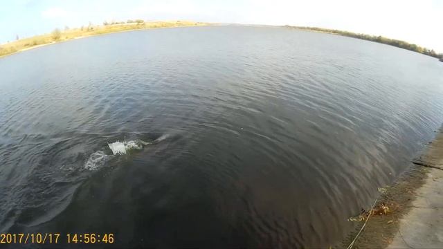 ловля толстолоба на джиг осенью 2017 смотреть онлайн