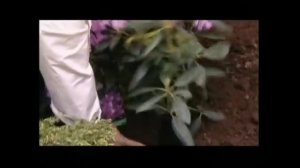 В ГОСТЯХ У ЮРИЯ АНТОНОВА!