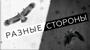 Разные стороны ( В память погибшим Защитникам Отечества)