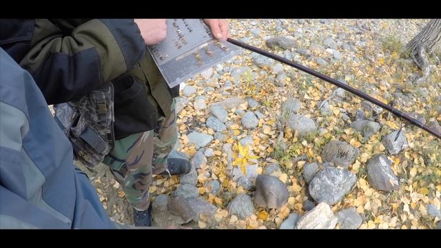 САМАЯ КРАСИВАЯ РЕКА АЛТАЯ- АРГУТ. Рыбалка. Водометные лодки. смотреть онлайн