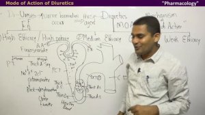 Diuretics | Diuretic | Furosemide #drlecture #diuretic #diuresis #furosemide #potassium #sparing #d