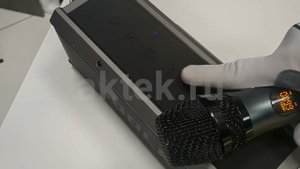 ПОРТАТИВНАЯ КАРАОКЕ-КОЛОНКА С ДВУМЯ МИКРОФОНАМИ SODLK T200PLUS подключение