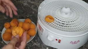Лучший способ заготовить овощи фрукты ягоды и зелень на зиму в сушилке Мастерица! Фруктовая пастила