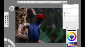 ANCHIORNIS Photo Editing + SHOUTOUTS, How to Make a Realistic Dinosaur on Photoshop