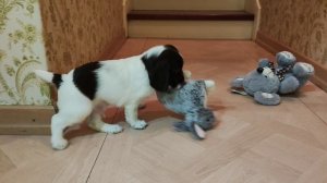 VID_20231209_225712.mp4