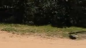 Сертолово Ленинградская область Продолжение 1