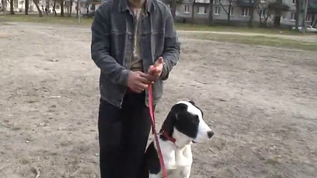 команда Рядом часть вторая