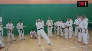 Пинан соно ен - Pinan 4