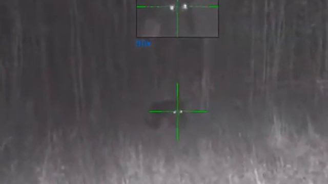 Охота на кабана 2020 | Осторожный секач| Pulsar Digisight Ultra N455 | 9.3*62 Norma Oryx 232 gr. смотреть онлайн