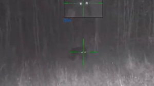 Охота на кабана 2020 | Осторожный секач| Pulsar Digisight Ultra N455 | 9.3*62 Norma Oryx 232 gr.