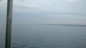 Севастополь,рыбалка с дельфинами 6-7 декабря 2014 год.mp4