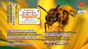 World Bee Day – We Must Buzz to the Bee’s Rescue!  世界蜜蜂日—我們必須呼籲拯救蜜蜂