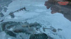 РЫБАЛКА В АСТРАХАНИ. Зимняя рыбалка. СЕЗОН 2022. Бешеный клёв окуня. Окунь везде. Третья часть.