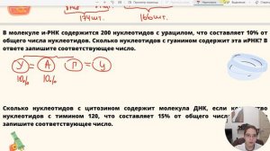 Решение задач линии 3 ЕГЭ. Часть 1. Подсчет нуклеотидов.
