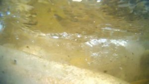 Форелевое хозяйство.Абхазия.Черная речка.