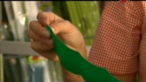 Виды ограждений для клумб