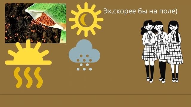 сельское хозяйство - тема