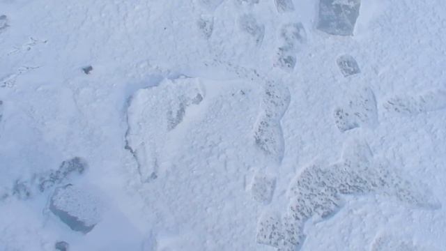 Замерзший Каспий смотреть онлайн