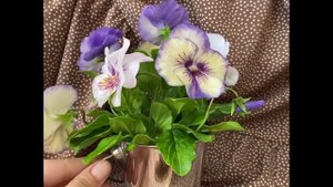 Анютины глазки ( Виола) из полимерной глины( холодный фарфор)