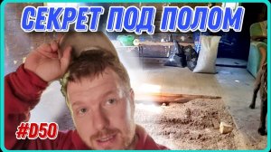 Восстанавливаю столетний дом. Убираю старый деревянный пол. Пчелы в продухе. #хочувдеревню