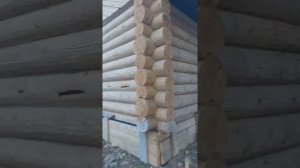 Отличие бревна ручной рубки от оцилиндрованного