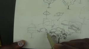 How to Draw Trees with Pen & Ink