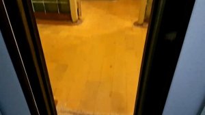 253) Лифт проезжает точную остановку и не открывает двери. Зато двери можно открыть вручную. 2021 г