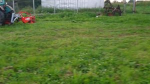Компостная куча