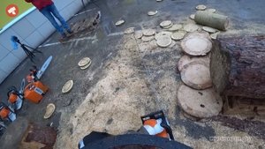 Самая большая в мире бензопила STIHL