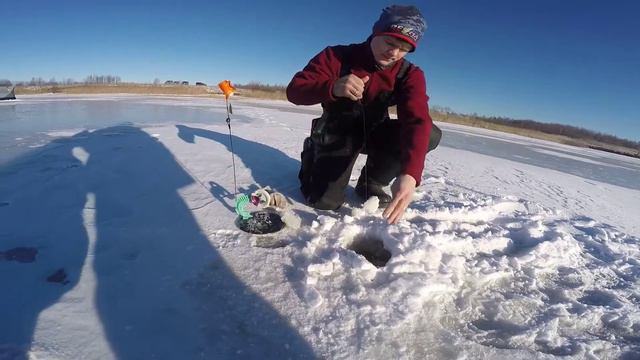 Первый и последний лёд 2020 Вазузское вдхр, жор щуки !!! смотреть онлайн