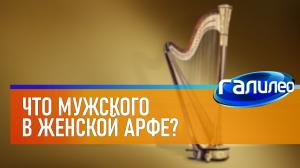 Галилео | 0033 ? Что мужского в женской арфе?
