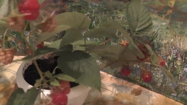 Барби на даче смотреть онлайн