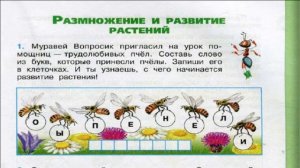 Окружающий мир. Рабочая тетрадь 3 класс 1 часть. ГДЗ стр. 45 №1