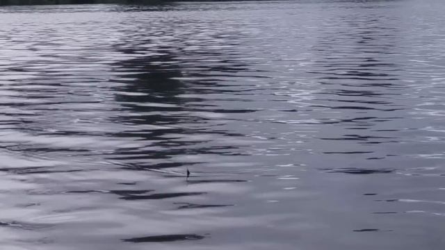 Последняя рыбалка ВЕСНЫ смотреть онлайн