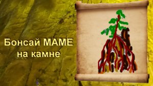 3.Бонсай маме в мини плошке, посадка на камень. часть 3.mp4
