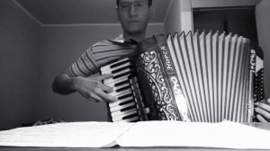 ''Одинокий пастух'' (Артём Крик на сайте ЛитНет, ссылка в описании), аккордеон