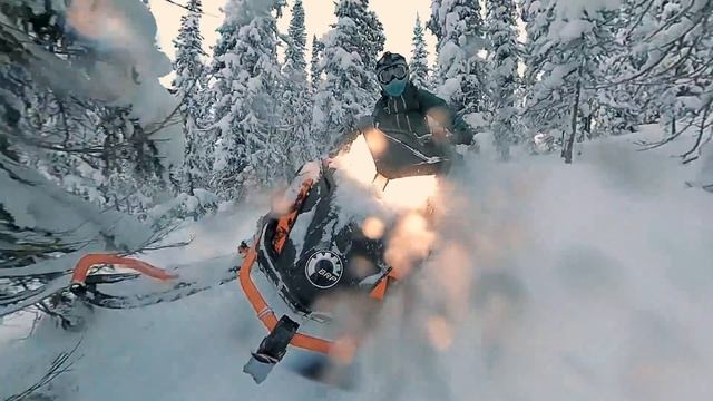 Возвращение в темноте. EP#203 смотреть онлайн