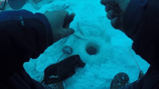 Ловим ельчика, северного мохтика.р.Етыпур. смотреть онлайн