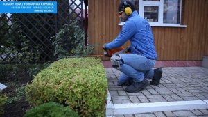 ХВОЙНЫЕ РАСТЕНИЯ  - ШОК РАЗМЕР  | ТОПИАР СТРИЖКА ТУИ| @user-qs3ui4et9d стрижка туи минск СадовникМи