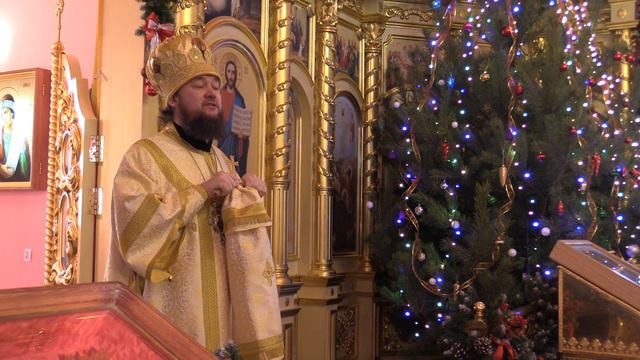 31.12.17 Слово епископа Диодора смотреть онлайн