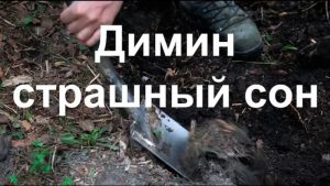 Димин страшный сон