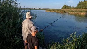 саратов латрык