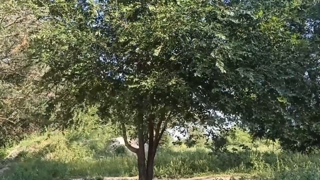 10 октября праздник День Савватия. Главные правила и запреты дня. Что нужно сделать. Именинники дня