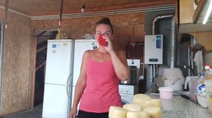 Сняла сливки.Сделала брынзу.Какая брынза внутри.Покрасила качотту